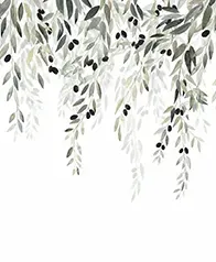 橄欖樹枝 壁紙(綠)