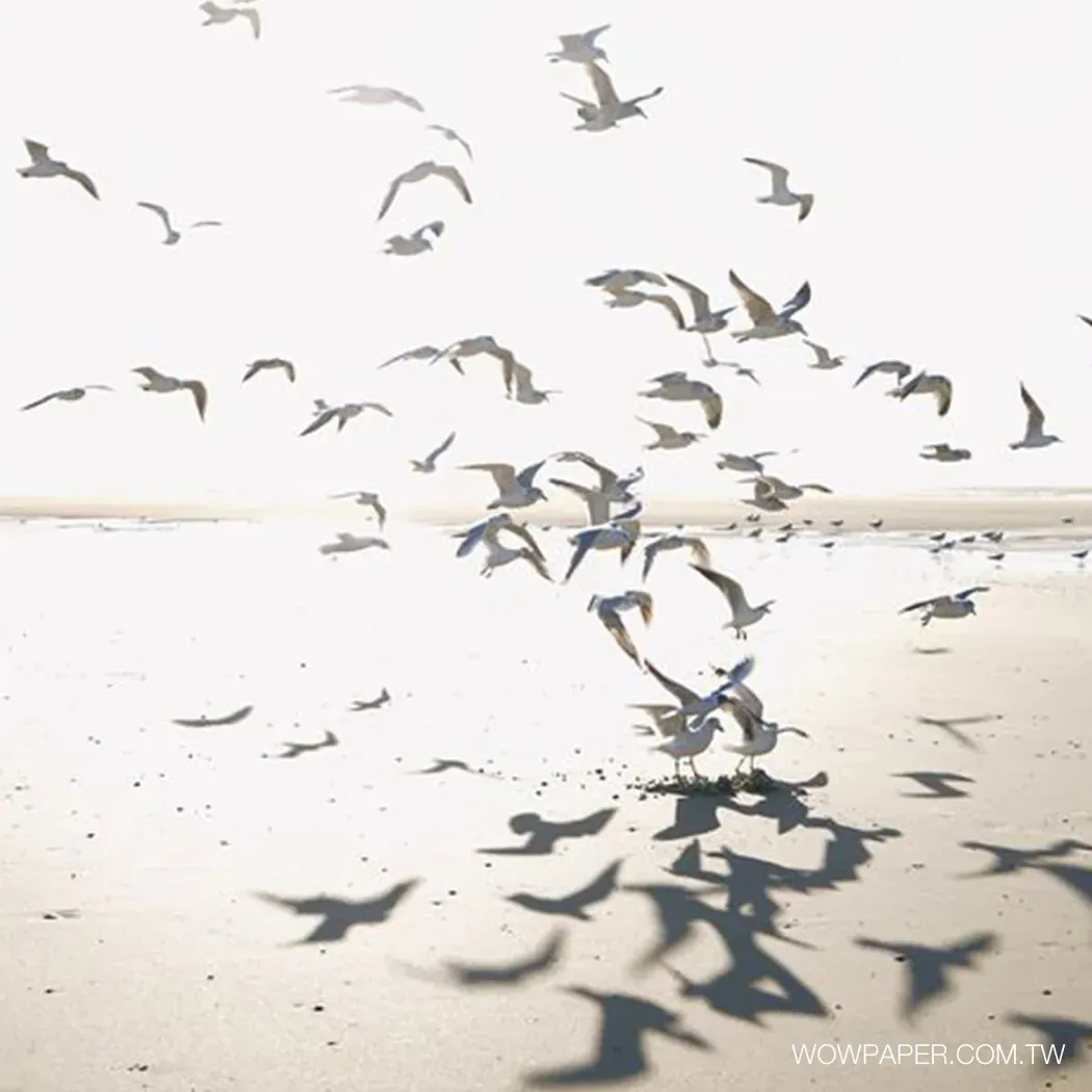 烏爾加特沙灘 壁畫(米灰)