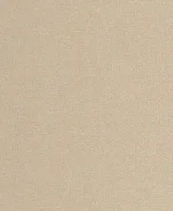 細緻羽點織紋 壁紙(燕麥)