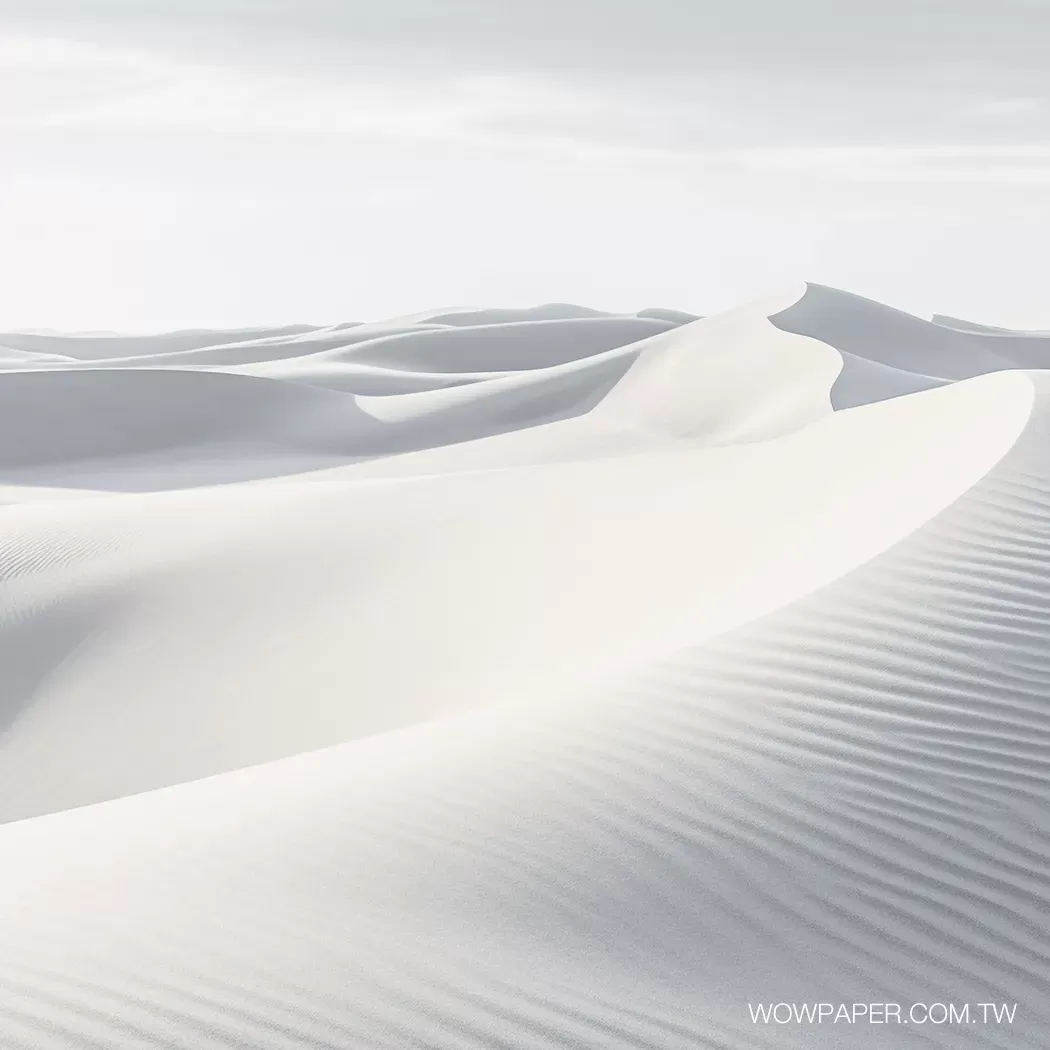 無垠沙丘 壁紙
