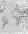 高密度世界地圖壁紙(淺灰)