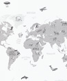 可愛世界地圖 壁紙(灰)