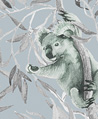 尤加利樹與無尾熊 壁紙(藍灰)