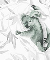尤加利樹與無尾熊 壁紙(灰)