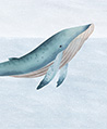 極地藍鯨 壁紙(藍)