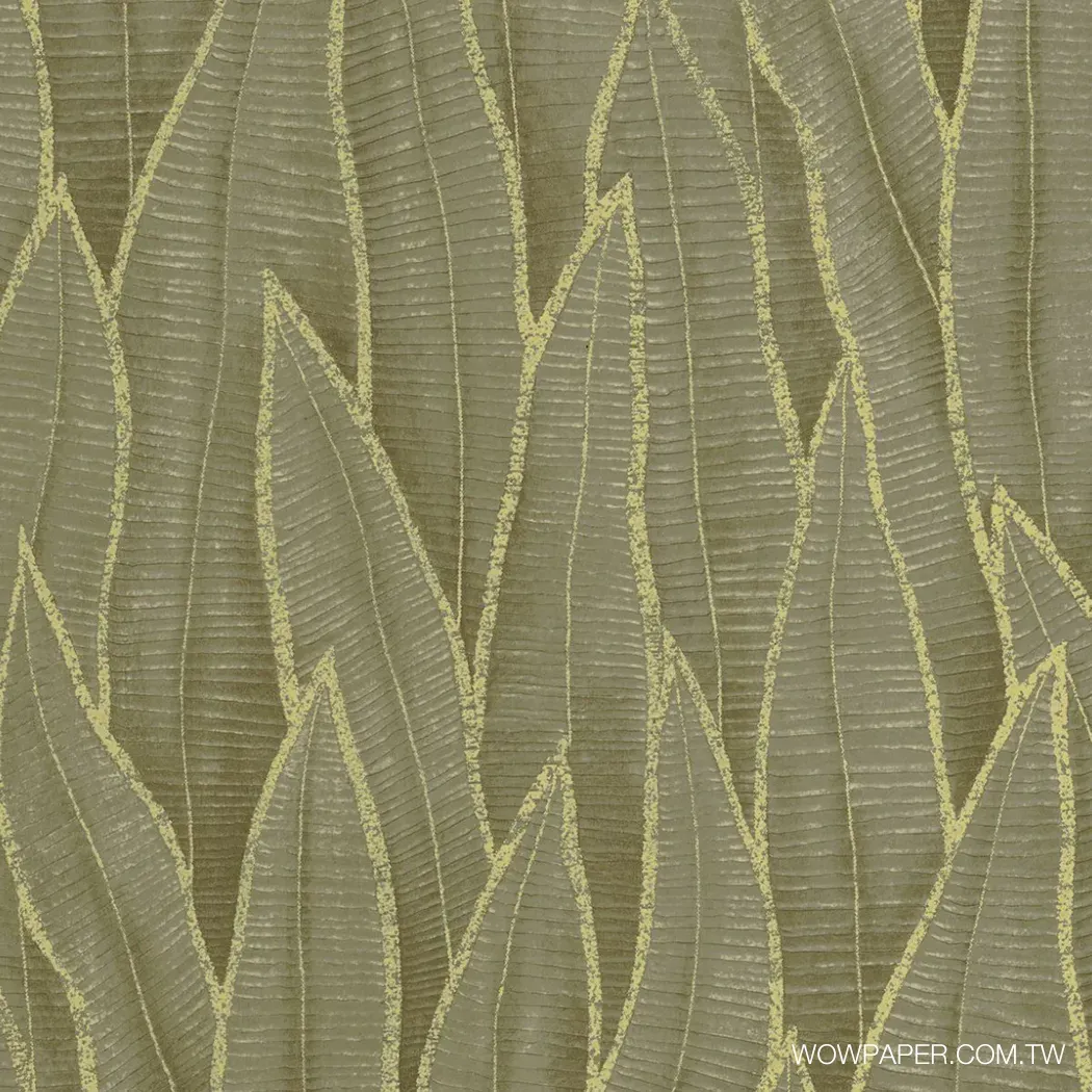 虎尾蘭 壁紙(抹茶)