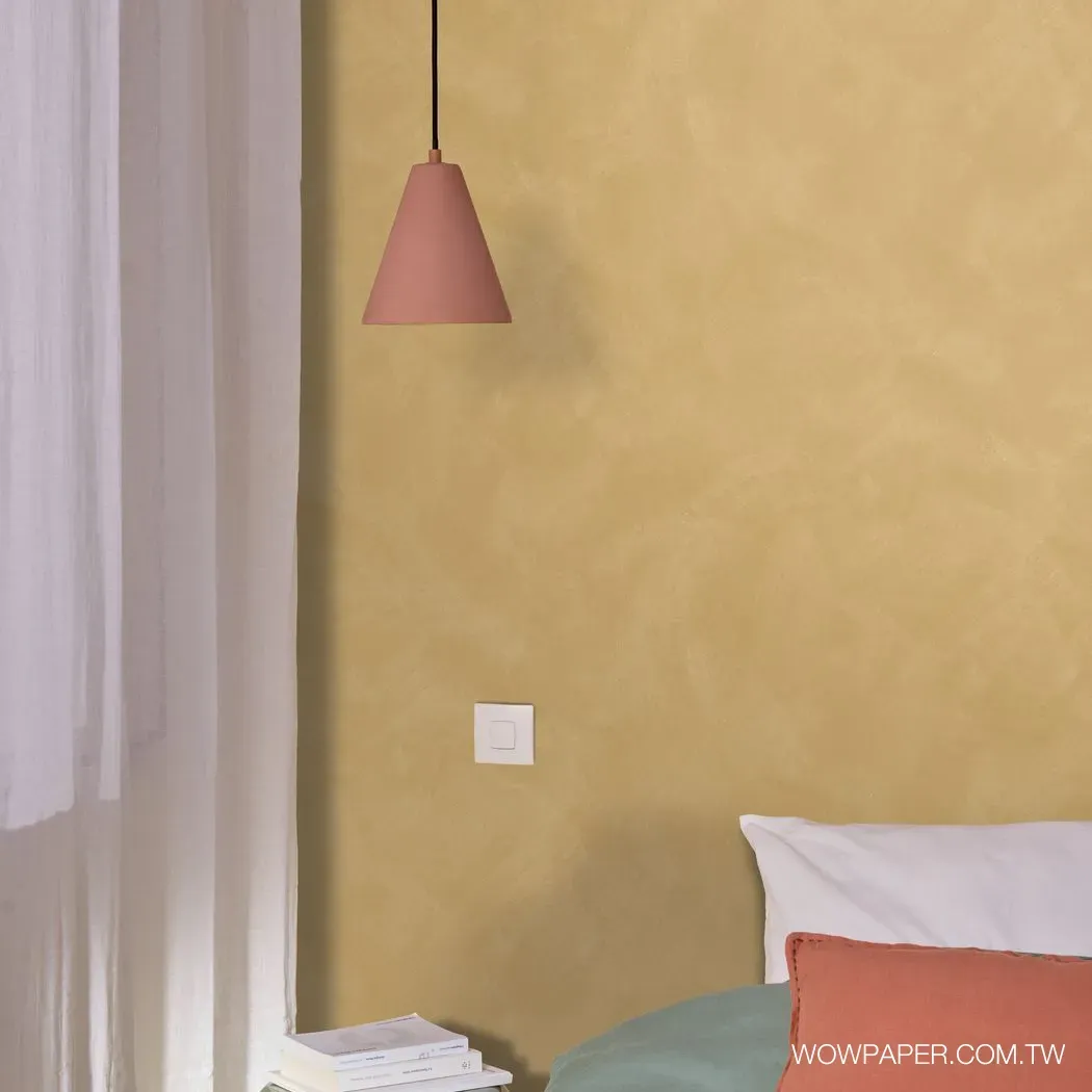 藝術泥灰牆 壁紙(土)