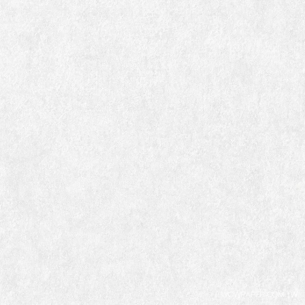 珍珠光銹牆 壁紙(白)