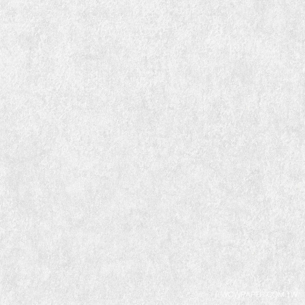 珍珠光銹牆 壁紙(白)