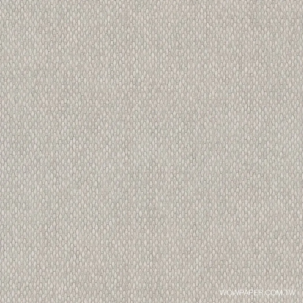 現代蟒紋 壁紙(灰)