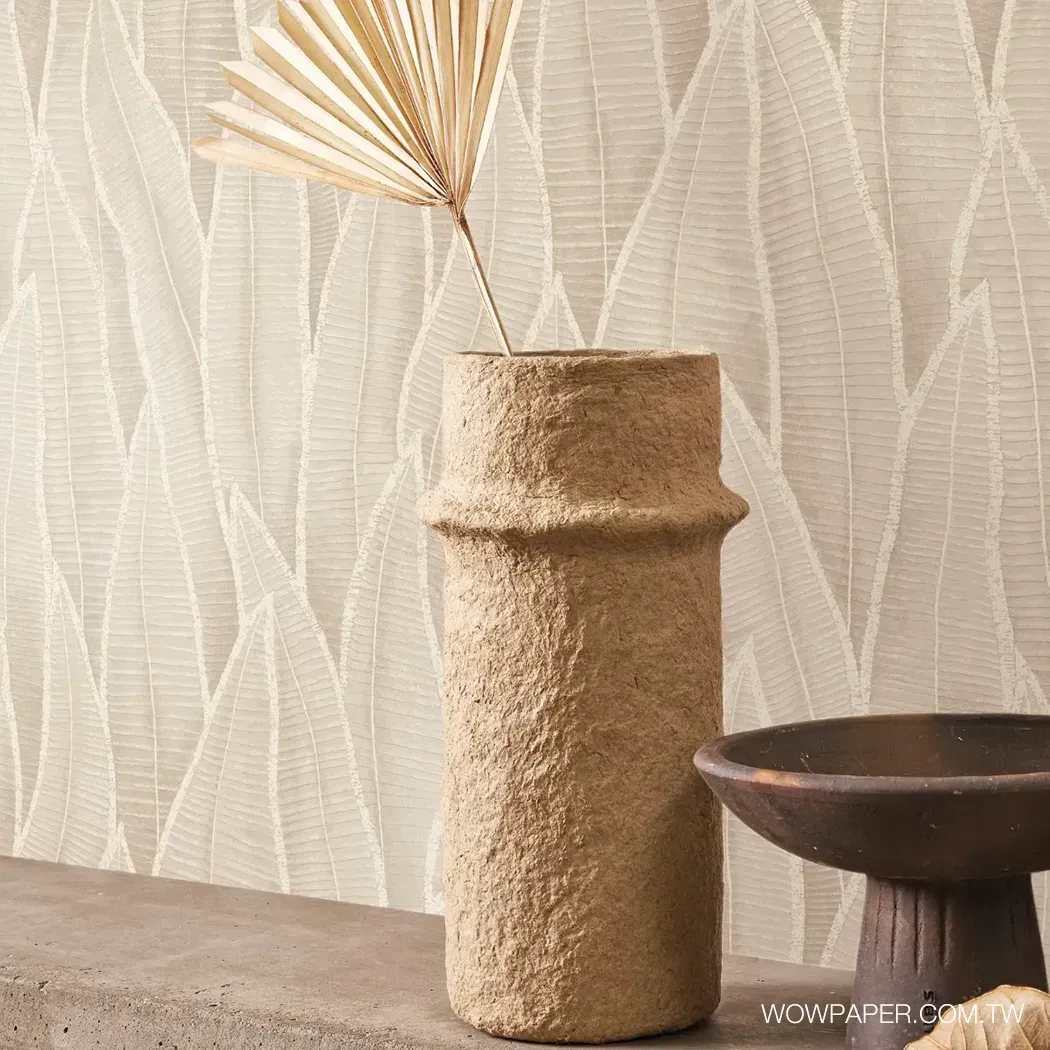 虎尾蘭 壁紙(卡布)