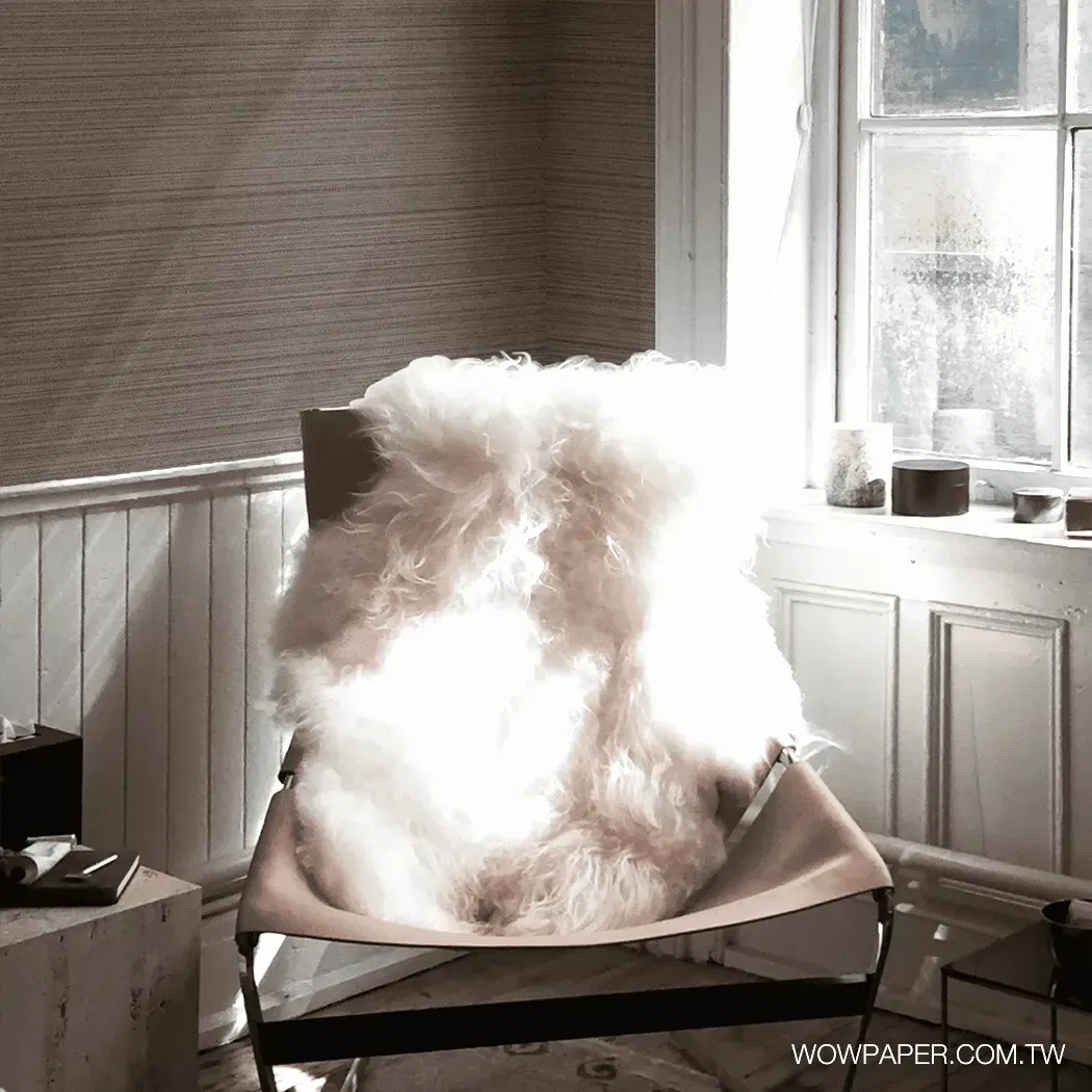 個性橫織布紋 壁紙(灰褐)