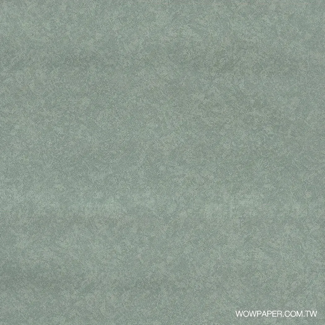肌理工法漆牆 壁紙(綠)