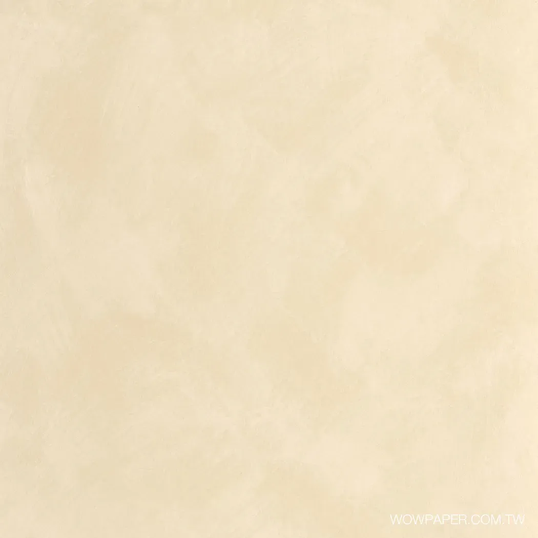 藝術泥灰牆 壁紙(杏)