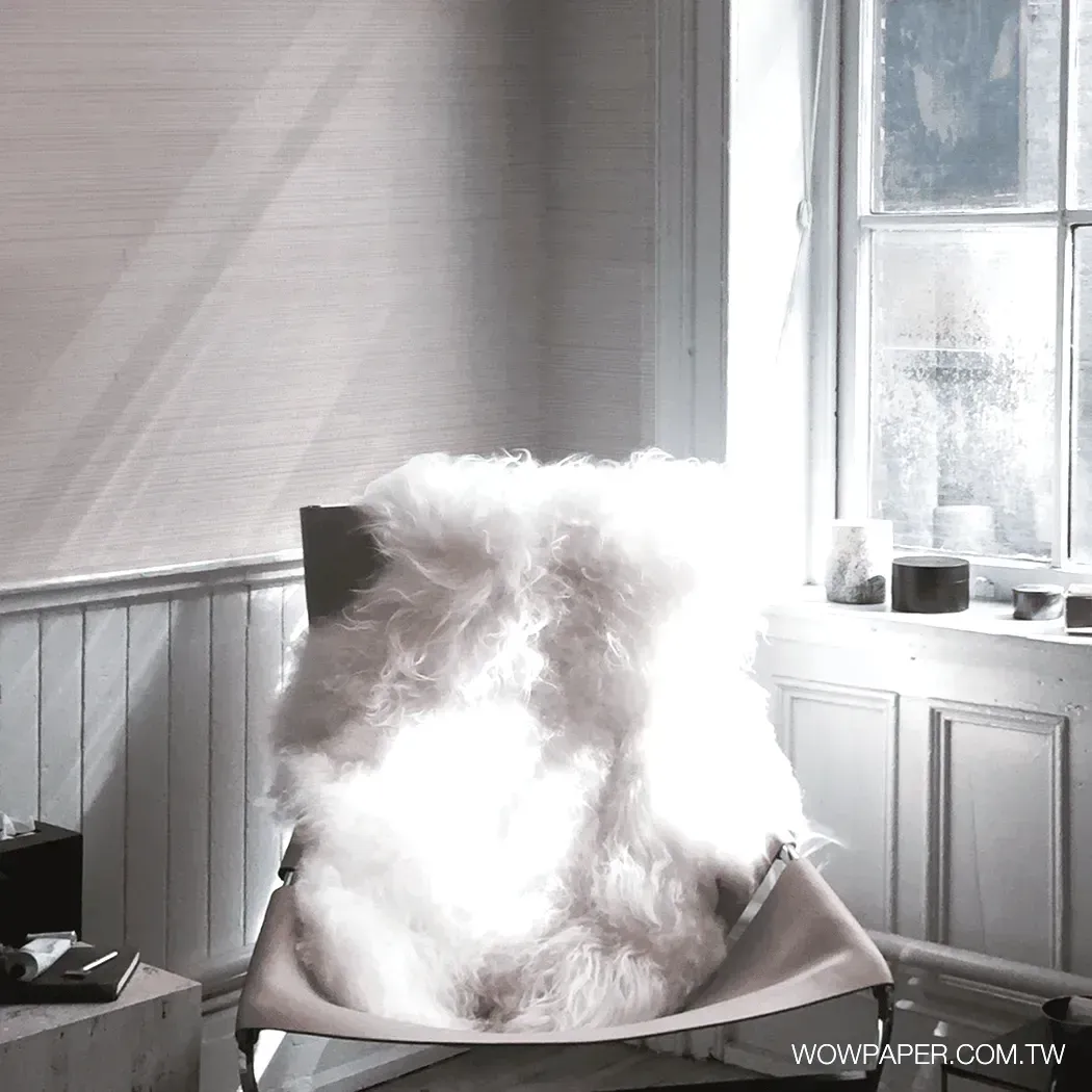 個性橫織布紋 壁紙(米灰)