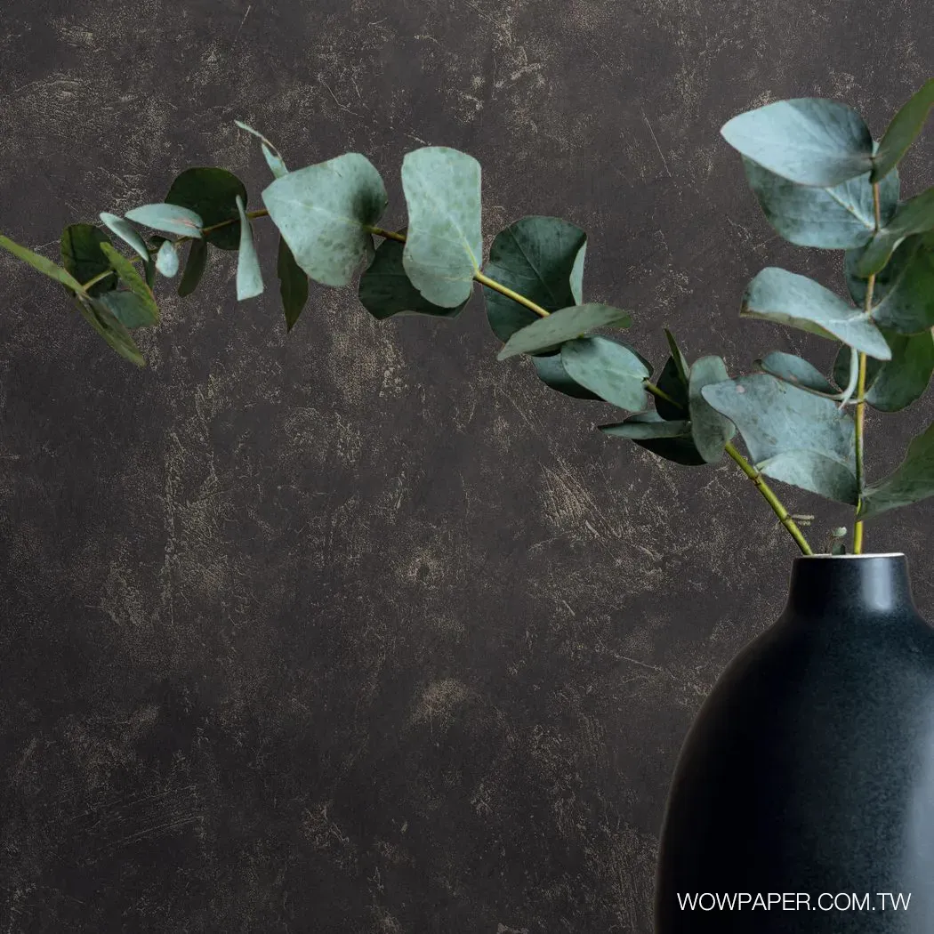 層次藝術泥灰牆 壁紙(煤灰)