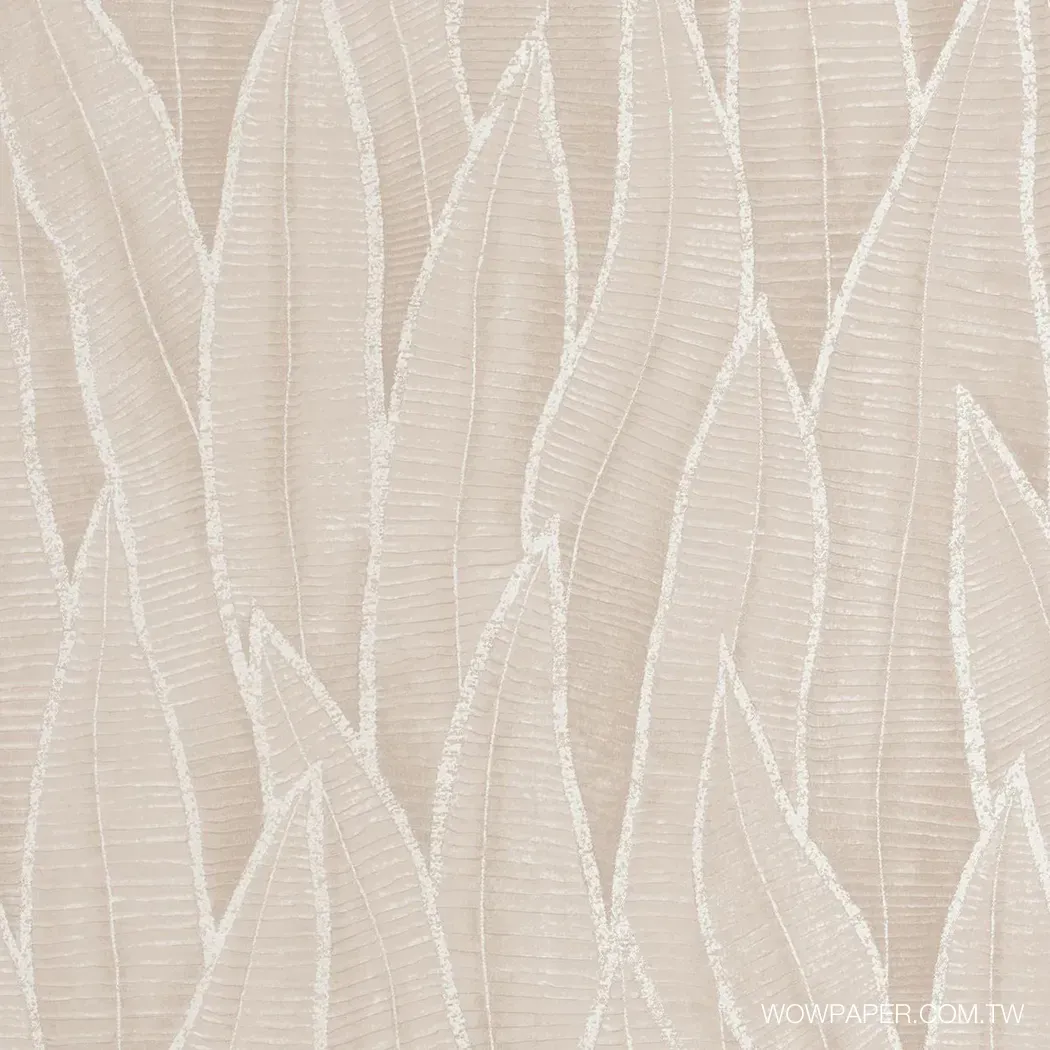 虎尾蘭 壁紙(卡布)