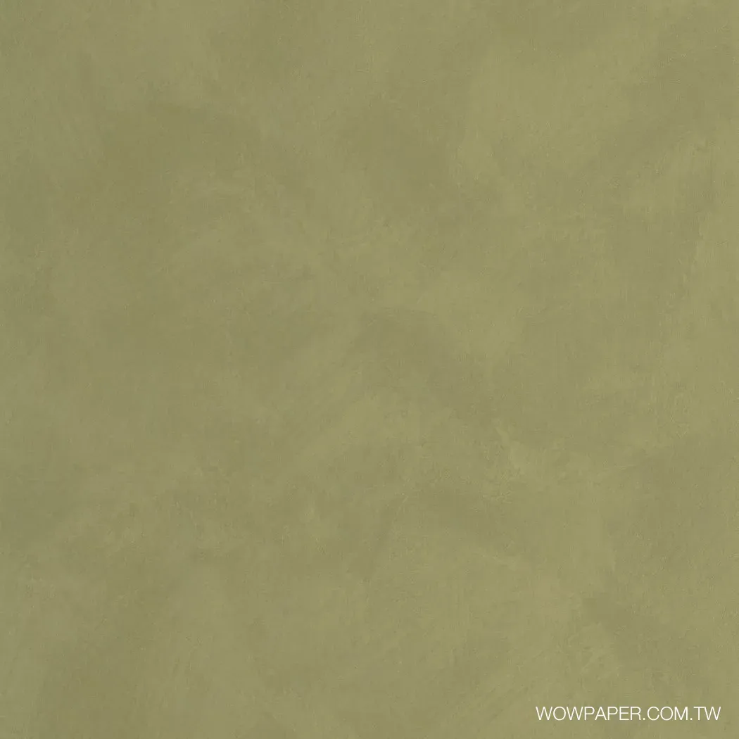 藝術泥灰牆 壁紙(抹茶)