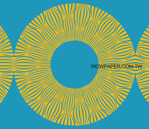 13WWCM-SS-0086-3U